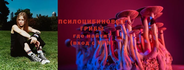твердый Богородицк