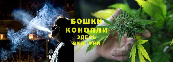 твердый Богородицк