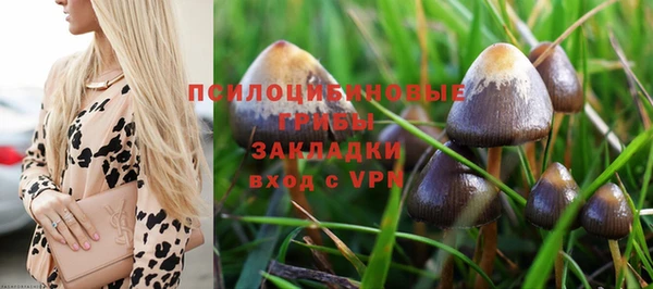 твердый Богородицк