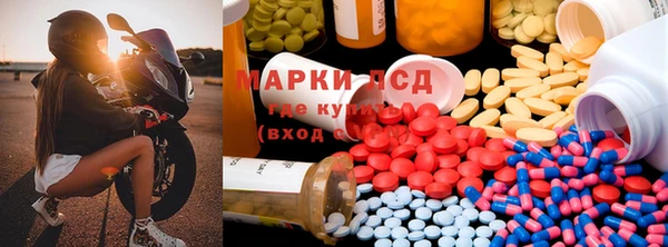 таблы Бородино