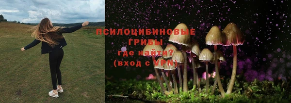 таблы Бородино